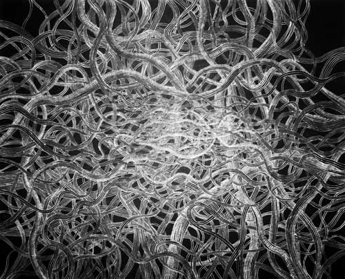 dessin-entrelas-arnaud-chappuis