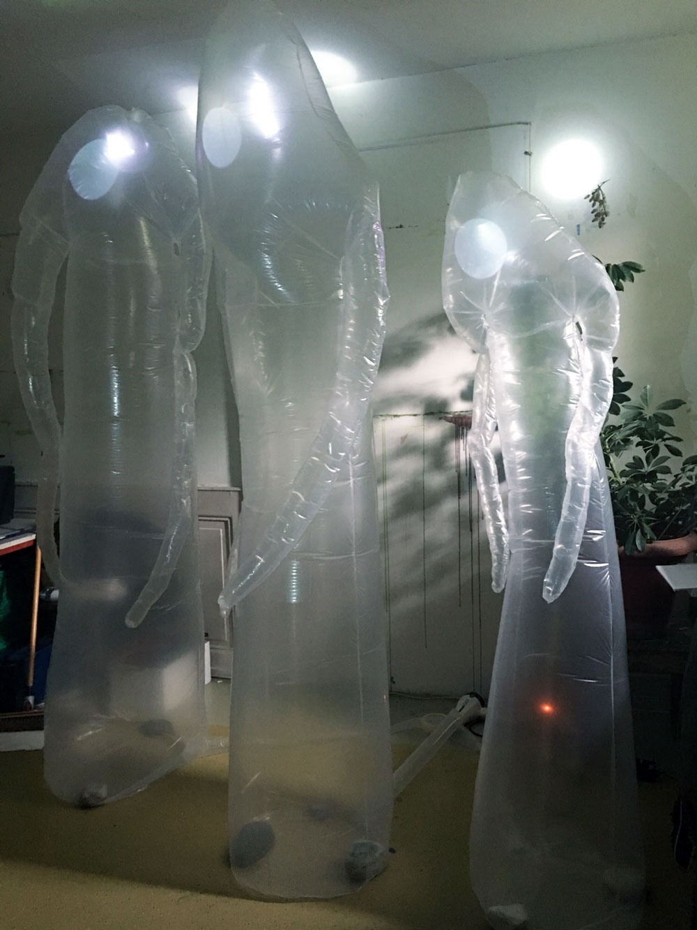 expo-joli-moi-de-mai-bienne-biel-arnaud-chappuis