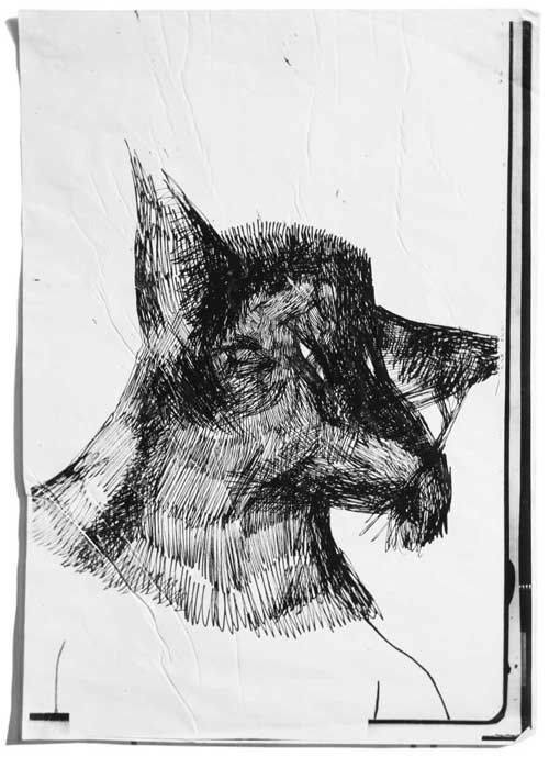 le-grand-méchant-loup-dessin-arnaud-chappuis